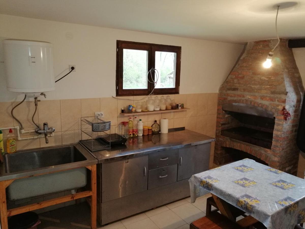 Etno Kuca Nikolov Dimitrovgrad Exterior foto