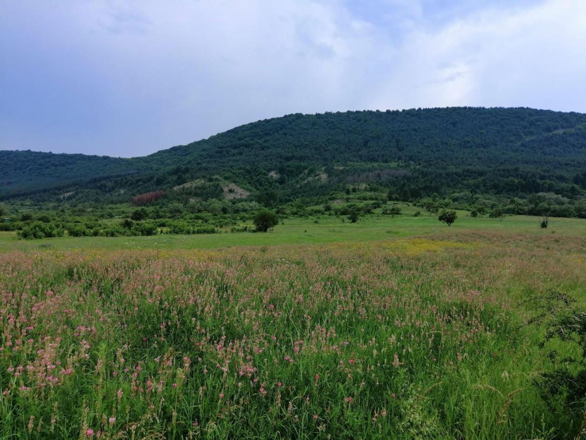 Etno Kuca Nikolov Dimitrovgrad Exterior foto